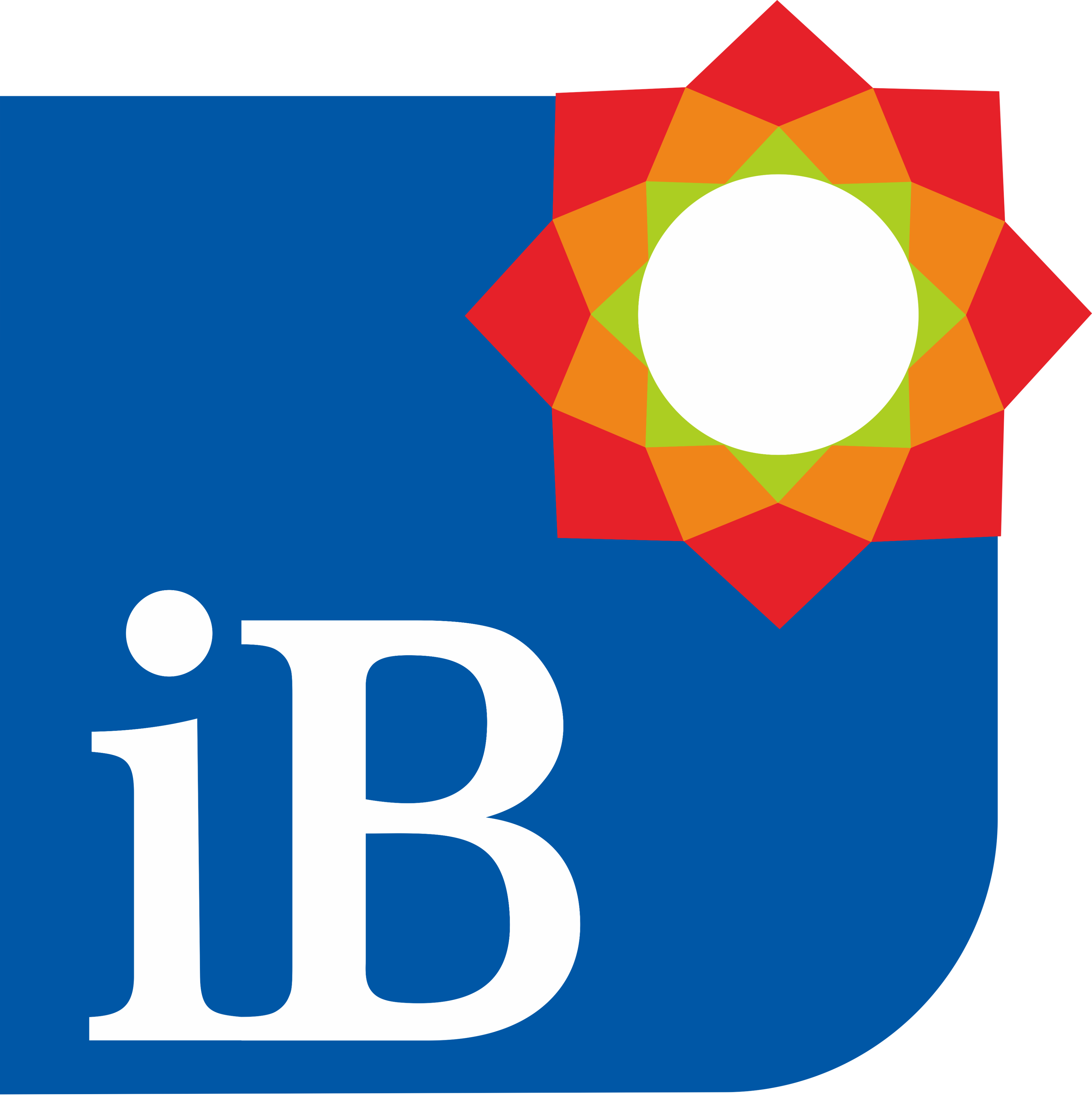 Logo iB